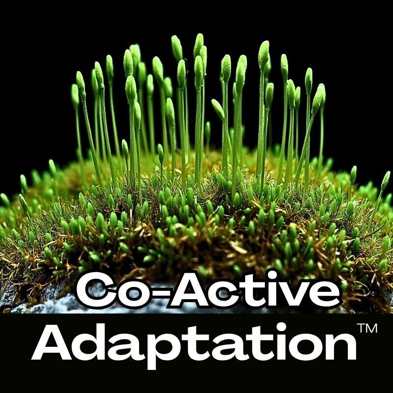 Close-up of green sprouts emerging from moss on a gray boulder, black background with the words Co-Active Adaptation