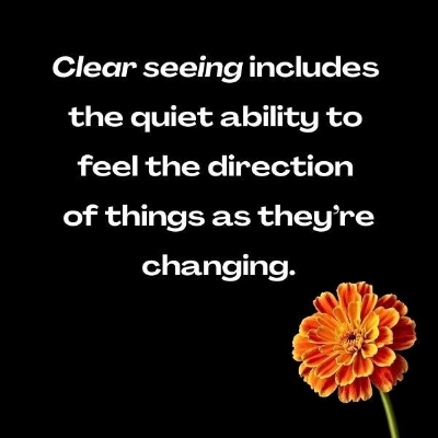 Graphic with the words: Clear seeing is the quiet ability to feel the direction of things as they're changing. Against a black background, with a beautiful blooming marigold.