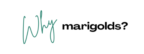 White banner that reads, ¨Why marigolds?¨