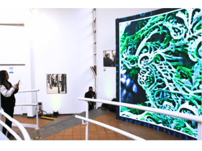 photo of a woman taking a photo of a huge digital screen displaying digital art by Maya Frost, creative adaptation and personal resilience expert, titled Bridal.Bridal.