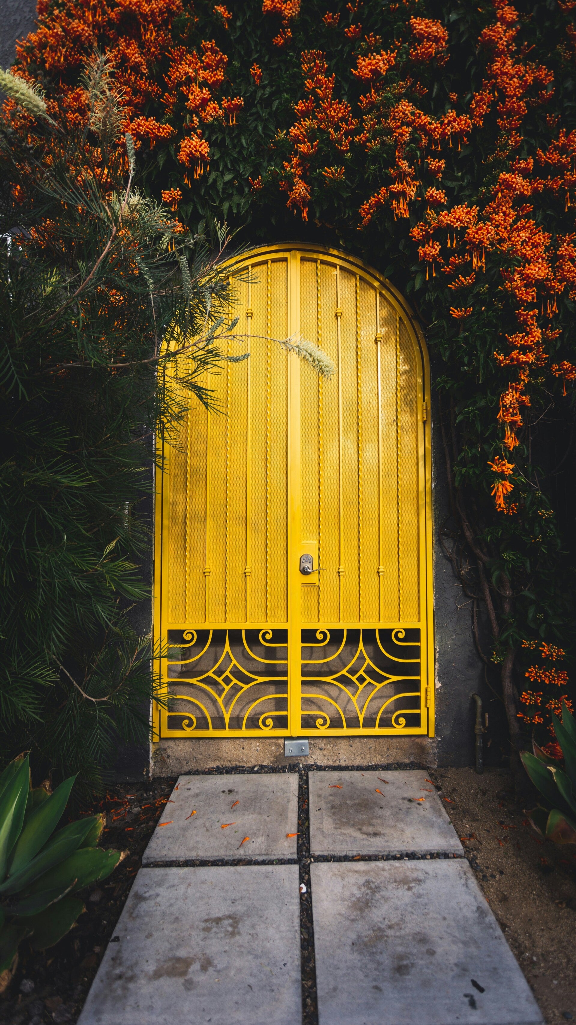 matt-flores-auOYGNcPSw8-unsplash.jpg Photo of a bright yellow door with a rounded top and iintricate scrollwork on the lower panels, with plants and orange flower. Photo by 