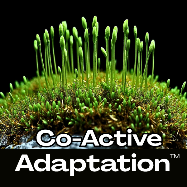 Co-Active Adaptation (3-month co-creative partnership)