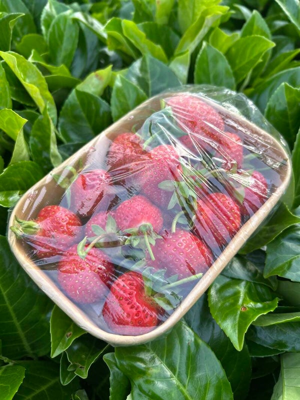 Aardbeien