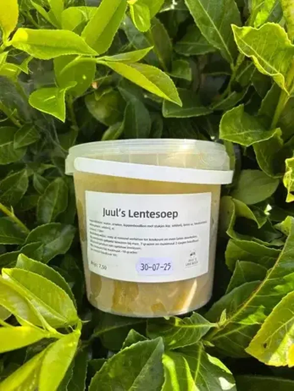 Lentesoep (seizoensoep)