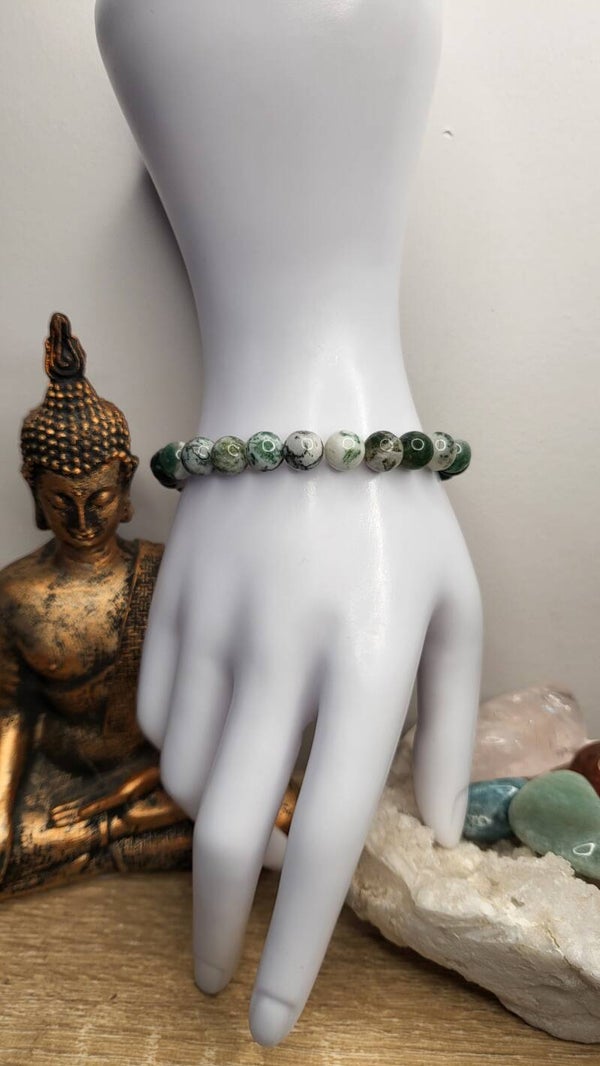 Bracelet Agate Mousse d'Amérique Latine 8mm