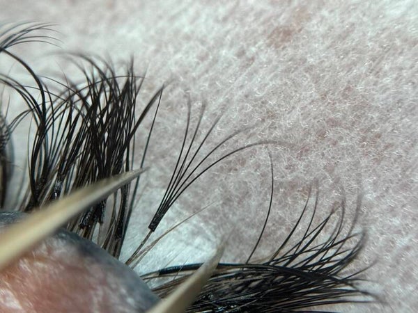 Perfect fans - workshop