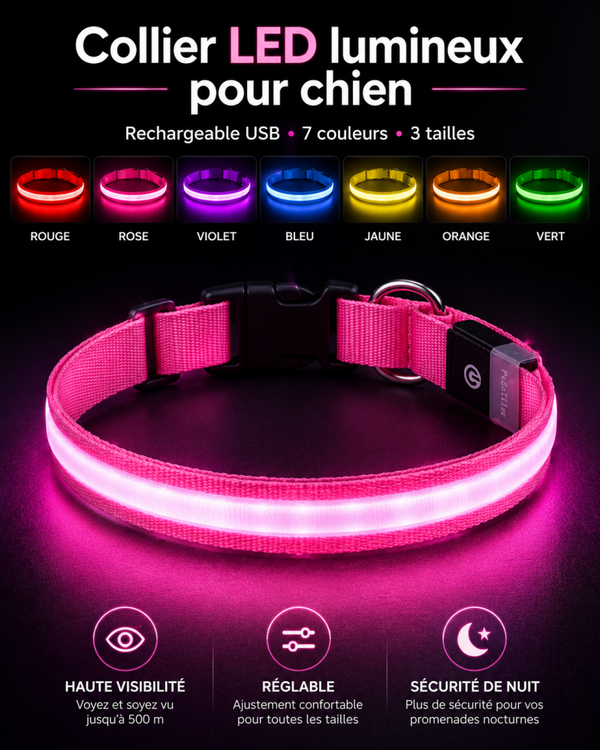 Collier LED lumineux rechargeable pour chien – 7 couleurs, 3 tailles