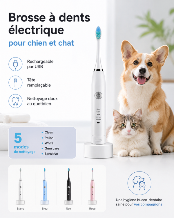 Brosse à dents électrique rechargeable USB pour chien et chat – Tête remplaçable