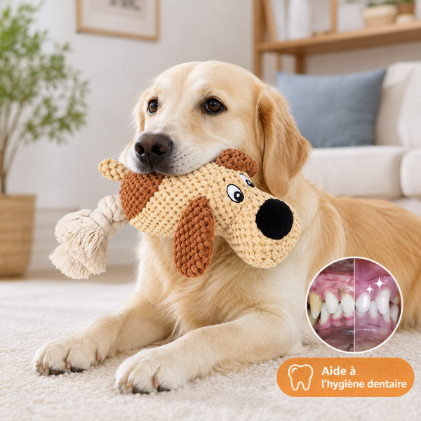 Jouet à mâcher pour chien – Peluche robuste avec cordes et couineur - Brun Jaune