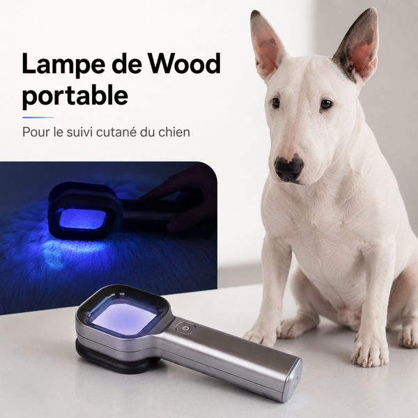 Lampe de Wood vétérinaire portable USB – Détection des anomalies cutanées chez le chien et le chat