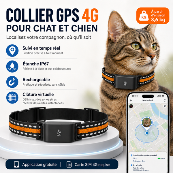 Collier GPS 4G connecté pour chat et chien – Suivi en temps réel, IP67 & anti-perte