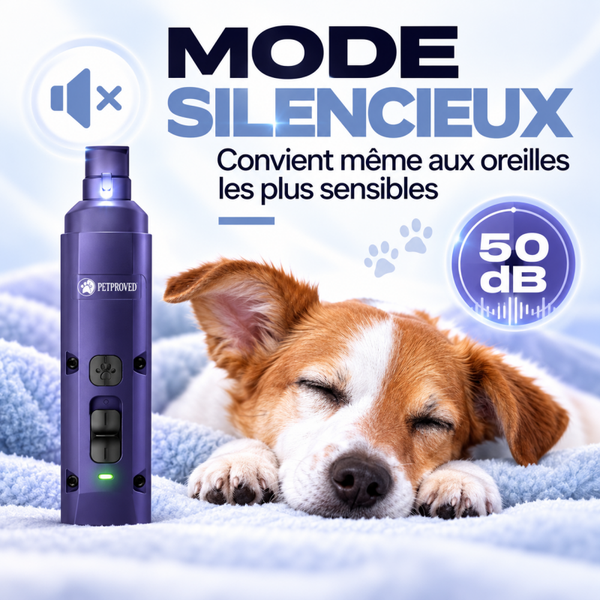 Lime à Griffes Électrique PETPROVED – Silencieuse, Rechargeable USB, LED – Chiens & Chats