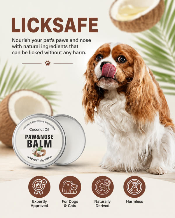 Baume coco truffe & coussinets chien/chat – Soin hydratant pattes sèches