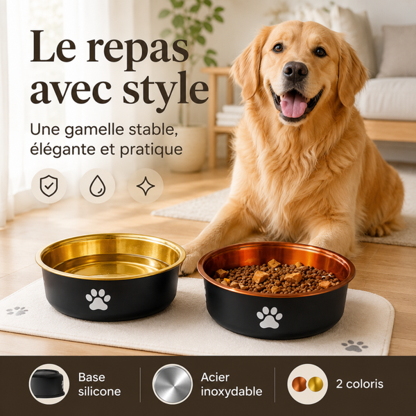 Gamelle antidérapante en acier inoxydable pour chien et chat – Finition dorée ou marron, 3 tailles