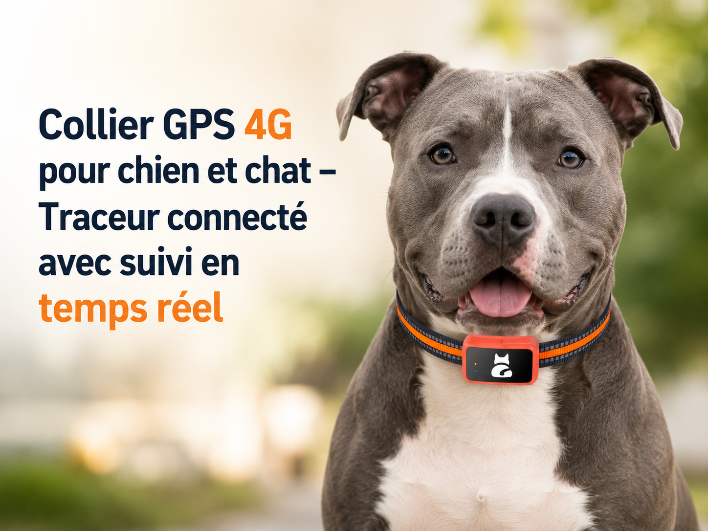 Collier GPS 4G pour chien et chat – Traceur connecté avec suivi en temps réel