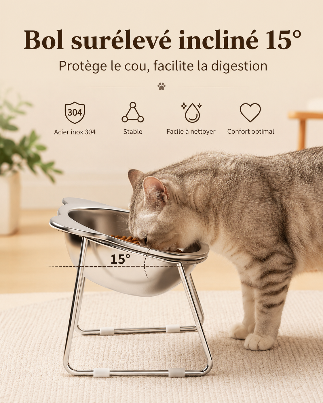 Bol surélevé incliné 15° pour chat et chiot – support protège-cou avec bol inox 304