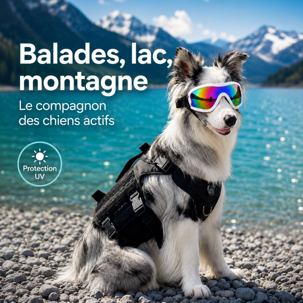 Lunettes de Soleil Souples pour Chien – Protection Anti-UV, Sangles Réglables, 3 Coloris