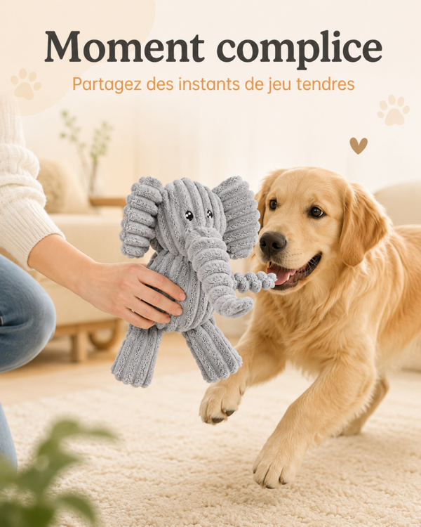 Éléphant Couineur en Peluche – Jouet Doux & Fun pour Chien
