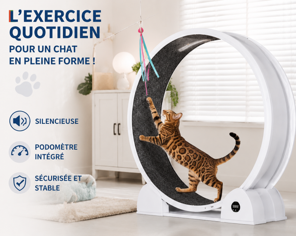 Roue d’Exercice XL Silencieuse Pour Chat Avec Podomètre Et Tapis Amovible 114,3cm