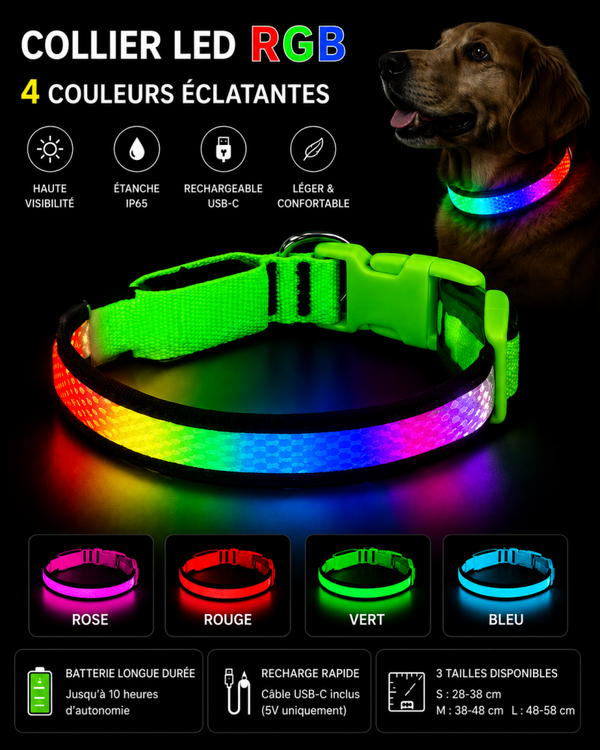 Collier LED RGB rechargeable pour chien – 4 couleurs, réglable et étanche