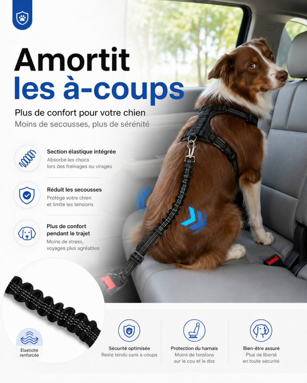 Ceinture de sécurité réfléchissante pour chien avec amortisseur
