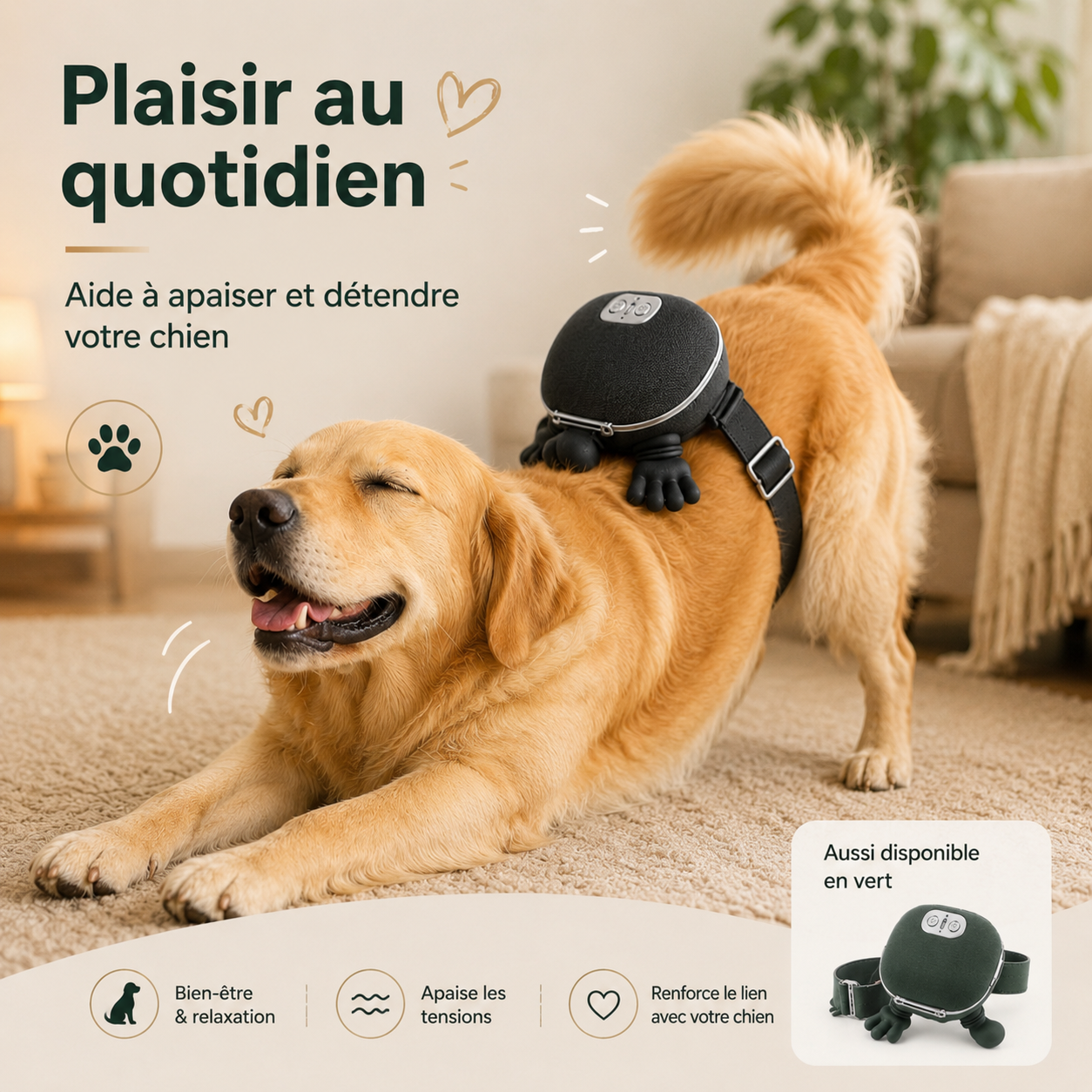 Masseur Relaxant pour Chien – Chauffant, Sans Fil & Rechargeable