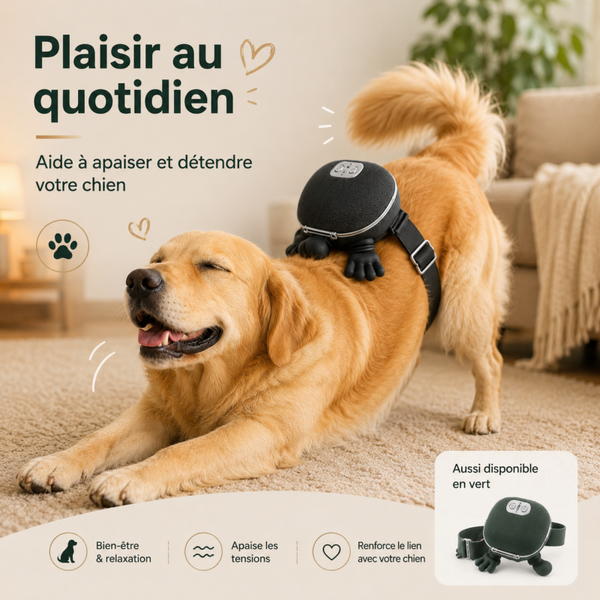 Masseur Relaxant pour Chien – Chauffant, Sans Fil & Rechargeable
