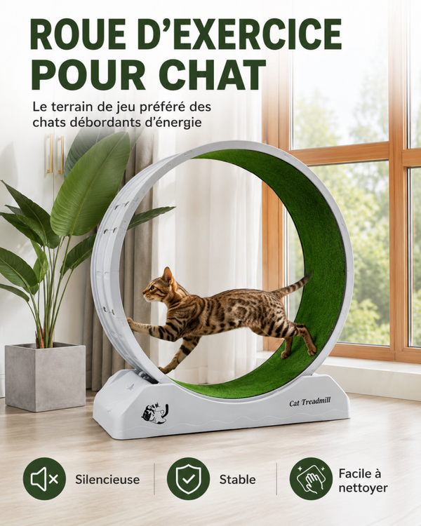 Roue D’Exercice Silencieuse Pour Chat 85 cm Avec Système Anti-Pincement Et Tapis Amovible