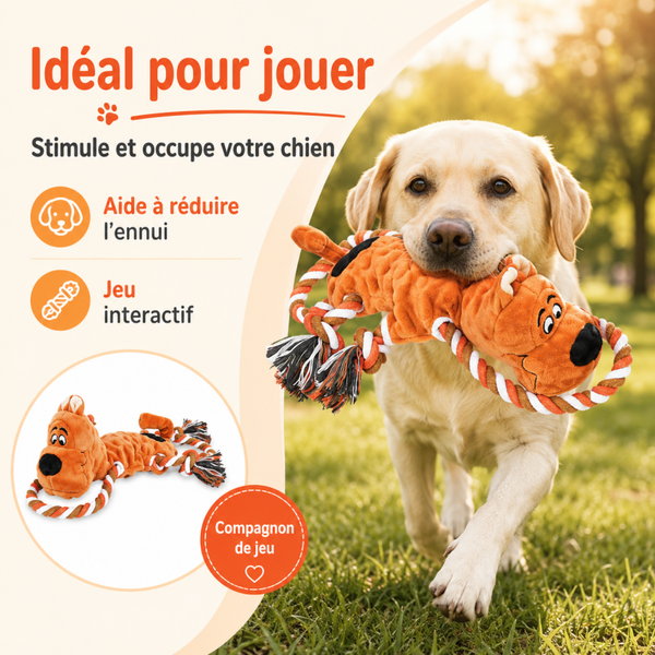 Jouet à mâcher pour chien – Peluche robuste avec cordes et couineur - chien marron