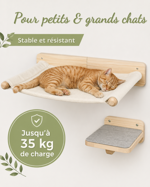 Parcours Mural Pour Chat En Bois Avec Hamac Et 2 Marches