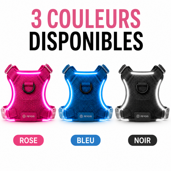 Harnais Lumineux LED pour Chien – Rechargeable, Réglable & Respirant – 3 Modes d’Éclairage