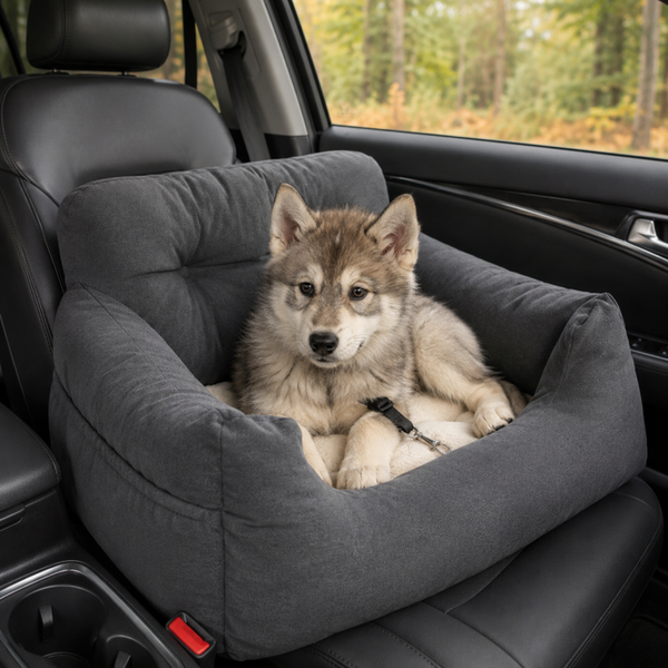 Siège auto cocon avec ceinture de sécurité pour chien et chat