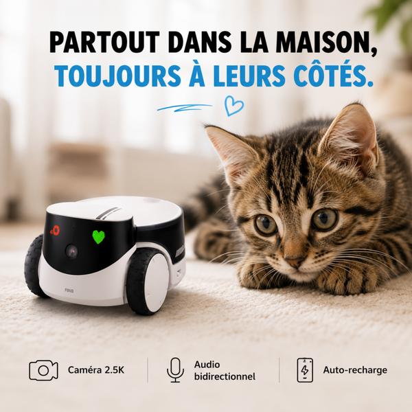 Enabot EBO ROLA PetPal 2.5K – Robot Caméra Mobile Pour Chiens Et Chats, Vision Nocturne, Audio Bidirectionnel Et Recharge Automatique
