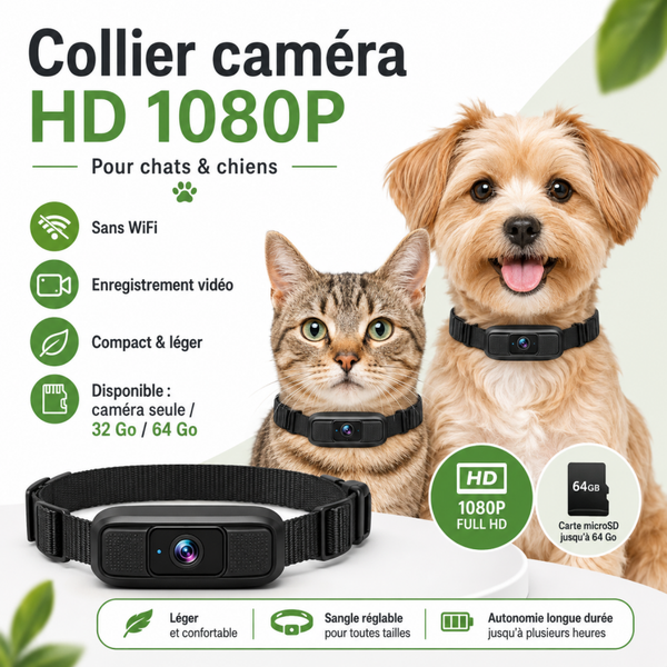 Collier caméra HD 1080P pour chat et chien – Mini caméra sans WiFi pour animaux