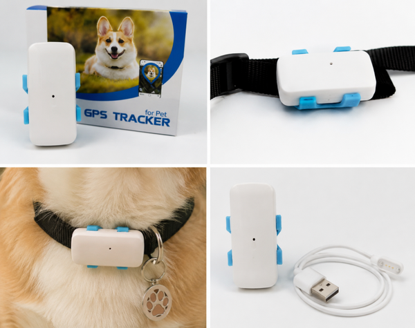 Traceur GPS 4G pour chien et chat – Carte SIM intégrée, suivi en temps réel et étanche IP67