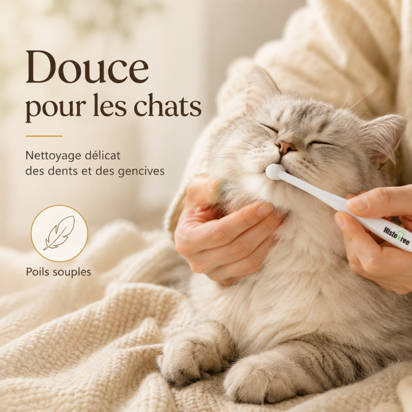 Brosse à dents douce à tête ronde pour chien et chat – Hygiène bucco-dentaire