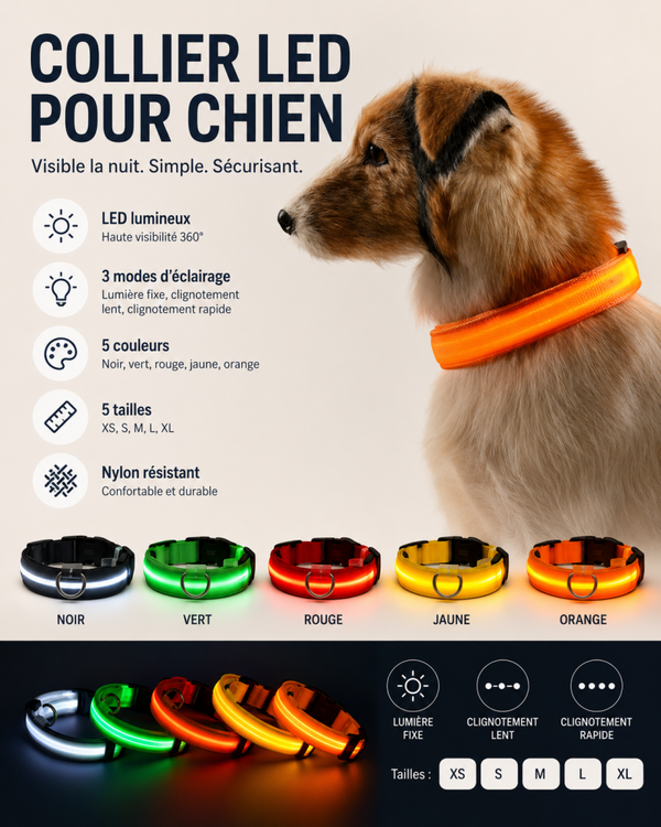 Collier LED Lumineux pour Chien – 3 Modes d’Éclairage, Nylon Réglable, 5 Couleurs et 5 Tailles