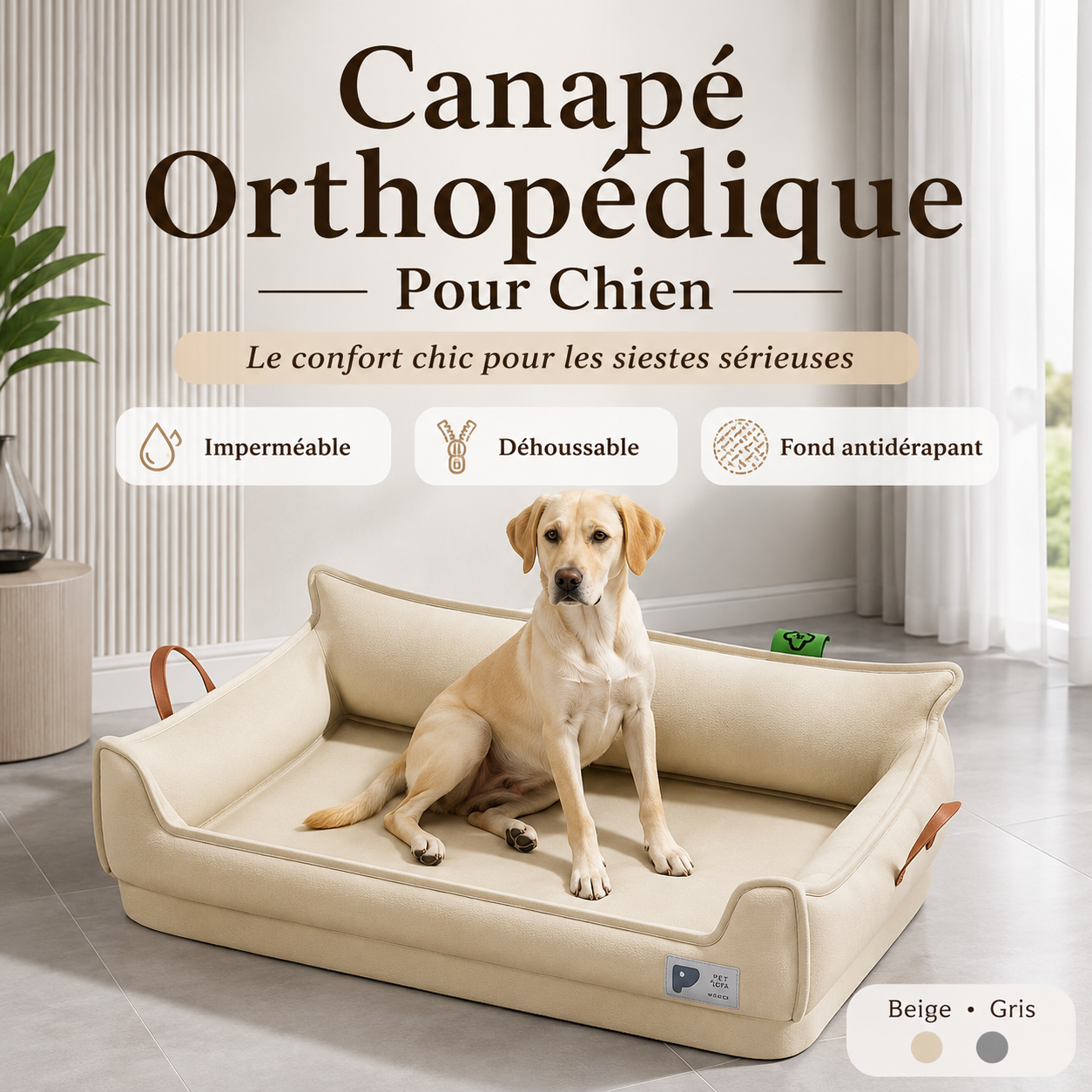 Canapé-Lit Orthopédique Imperméable Pour Chien – Déhoussable Et Antidérapant