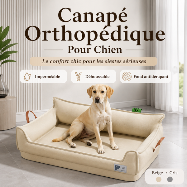 Canapé-Lit Orthopédique Imperméable Pour Chien – Déhoussable Et Antidérapant