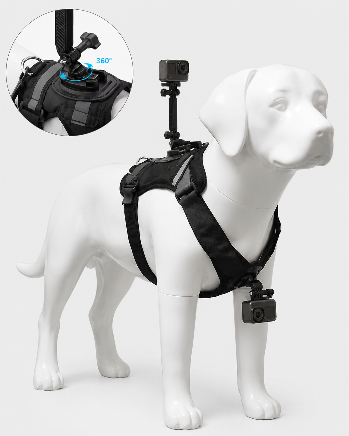 Harnais support caméra pour chien – Fixation poitrine et dos compatible GoPro, Osmo Action et Insta360