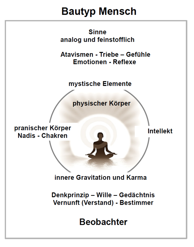 Bautyp Mensch Komponenten