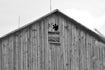 Root &amp; Canopy Fine Art A &amp; B