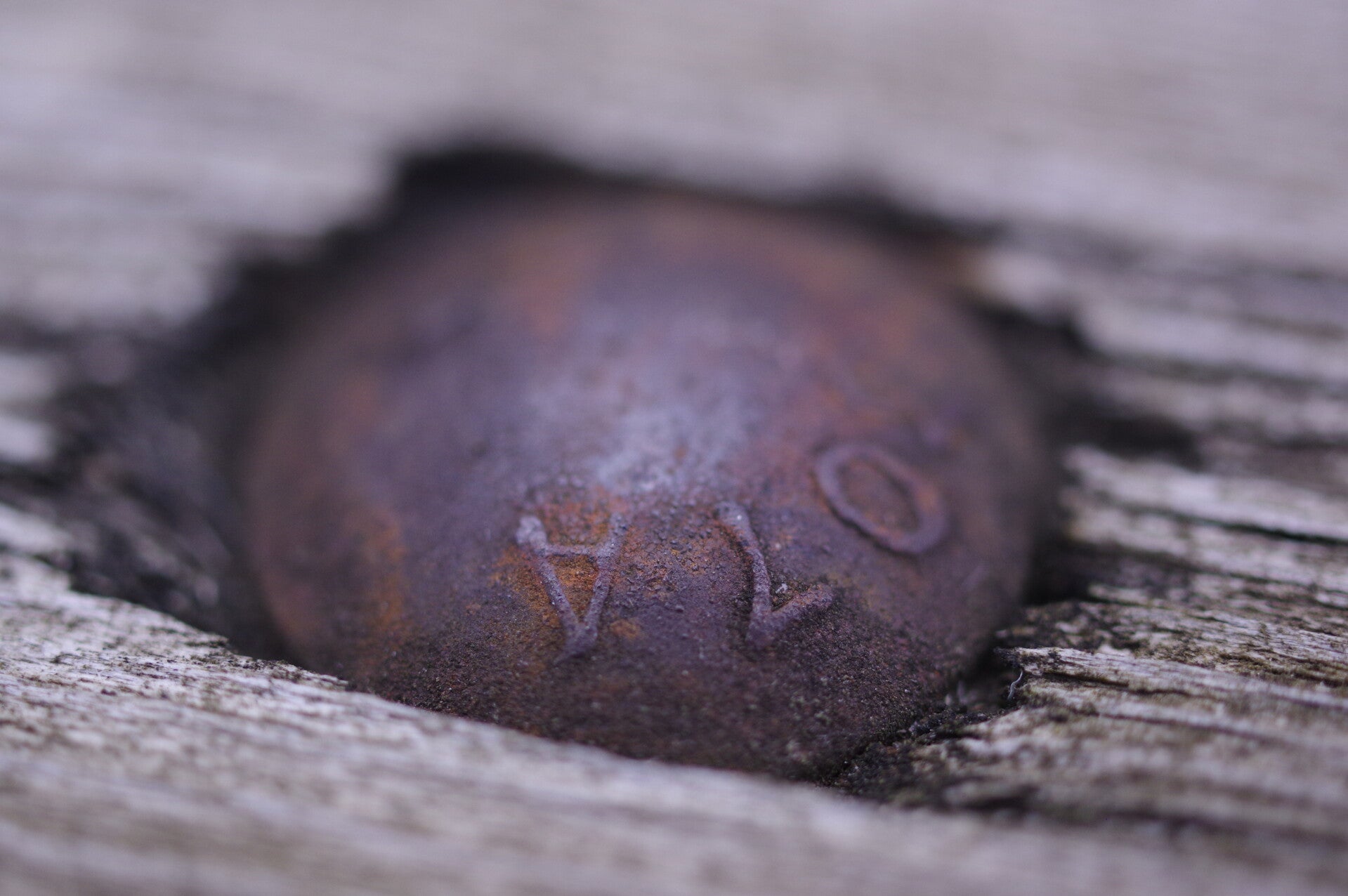 Carriage Bolt "Photography Print"