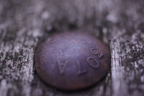 Carriage Bolt "Photography Print"