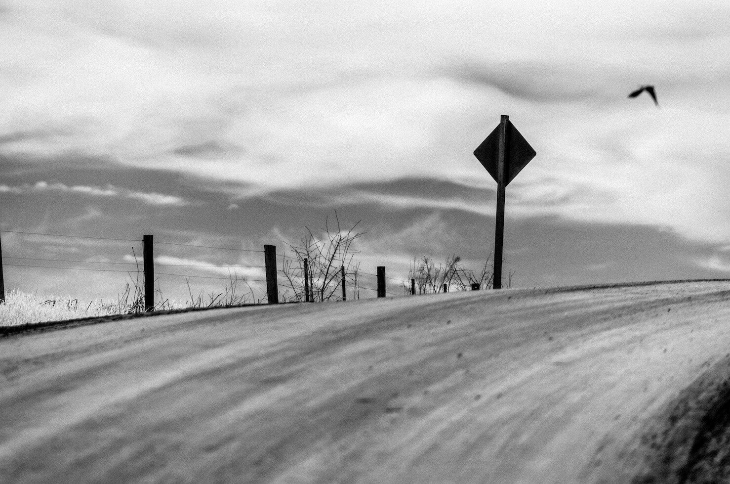 Dirt Road "Photography Print"