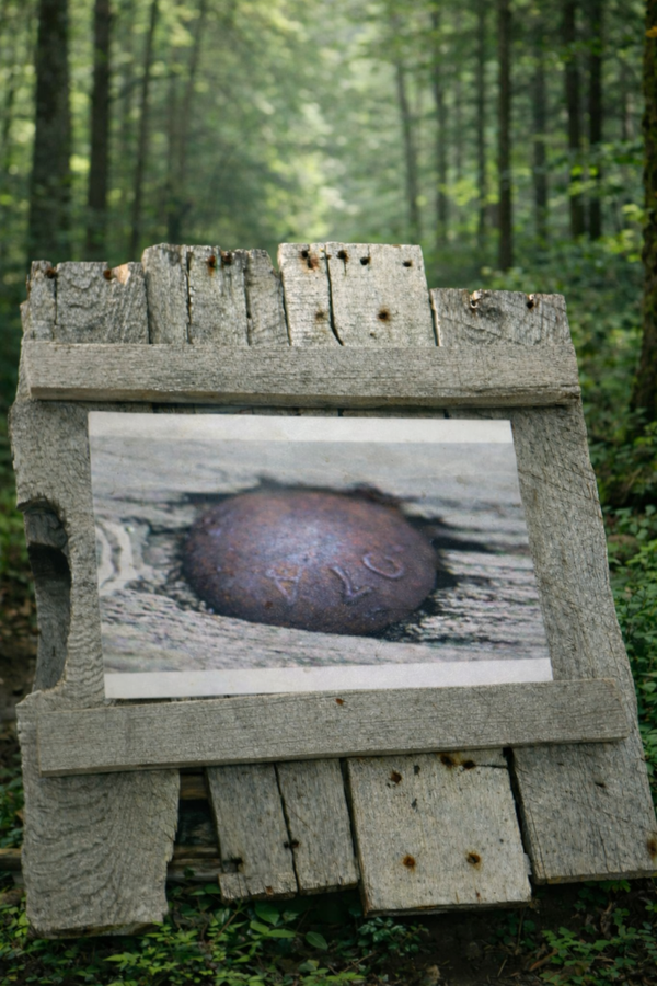 Carriage Bolt print in Wooden Pallet frame