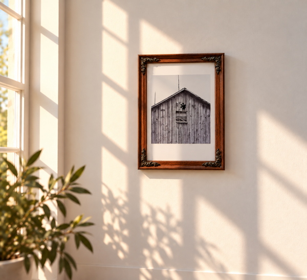 200 Years in Vintage Frame