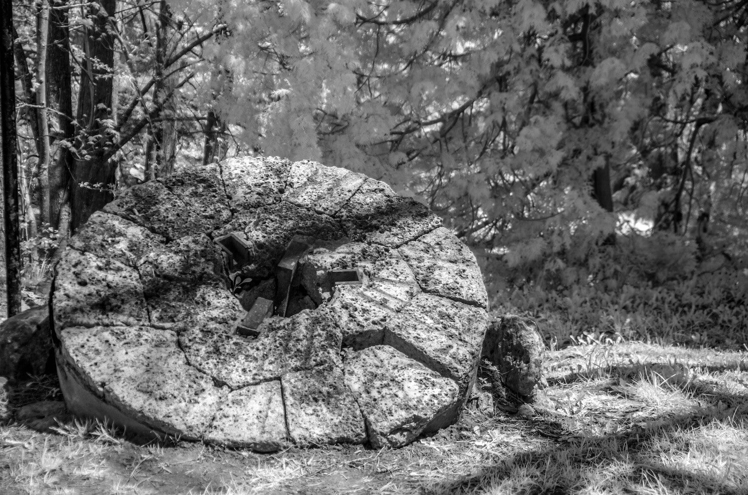 Old Broken Watermill Wheel " Photography Print"