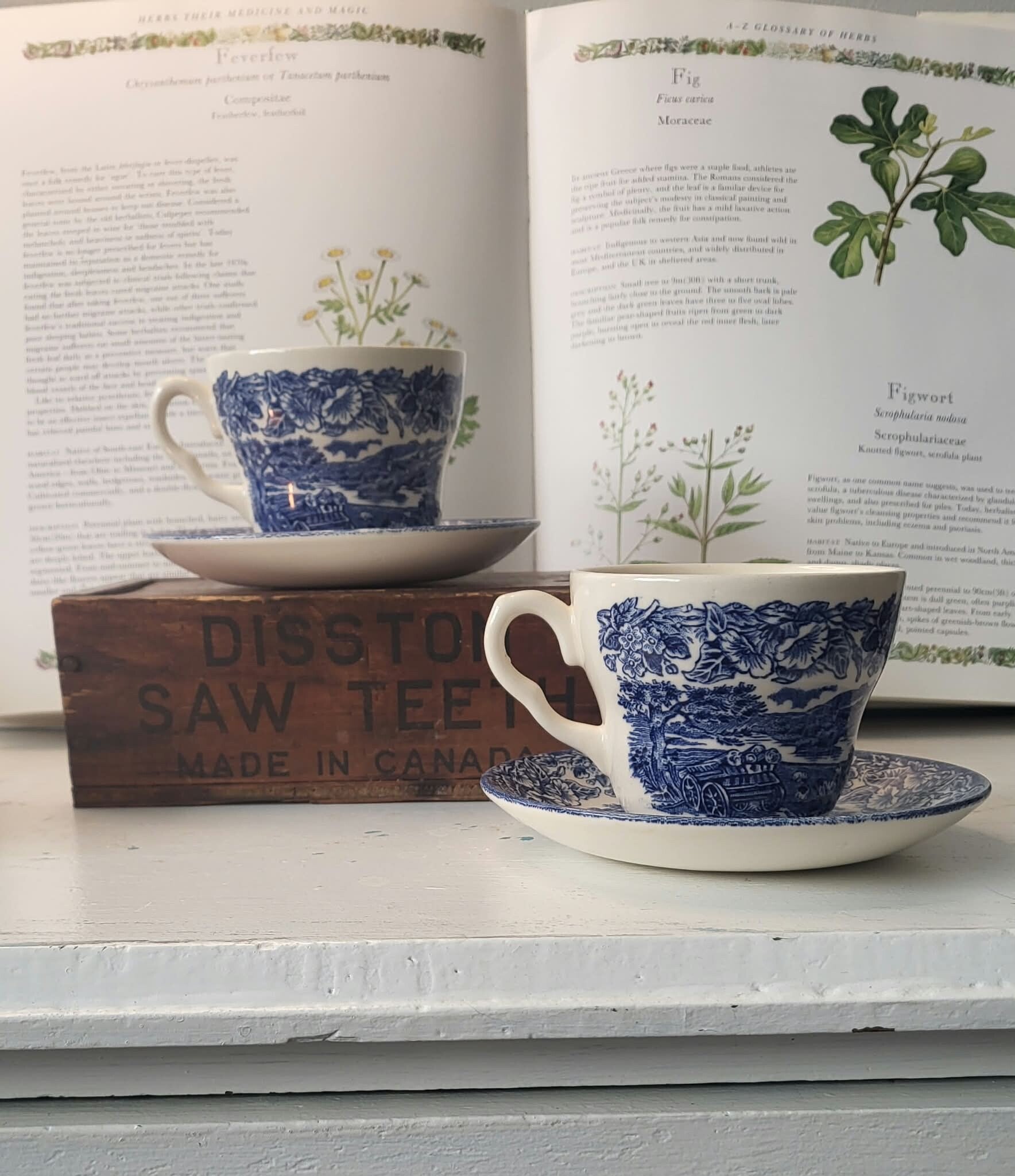 2 PC English Ironstone C&S