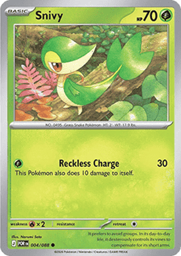 Perfect Order - #004 - Snivy